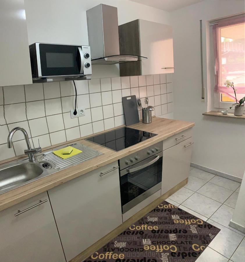 Apartment Saxonia Пирна Экстерьер фото