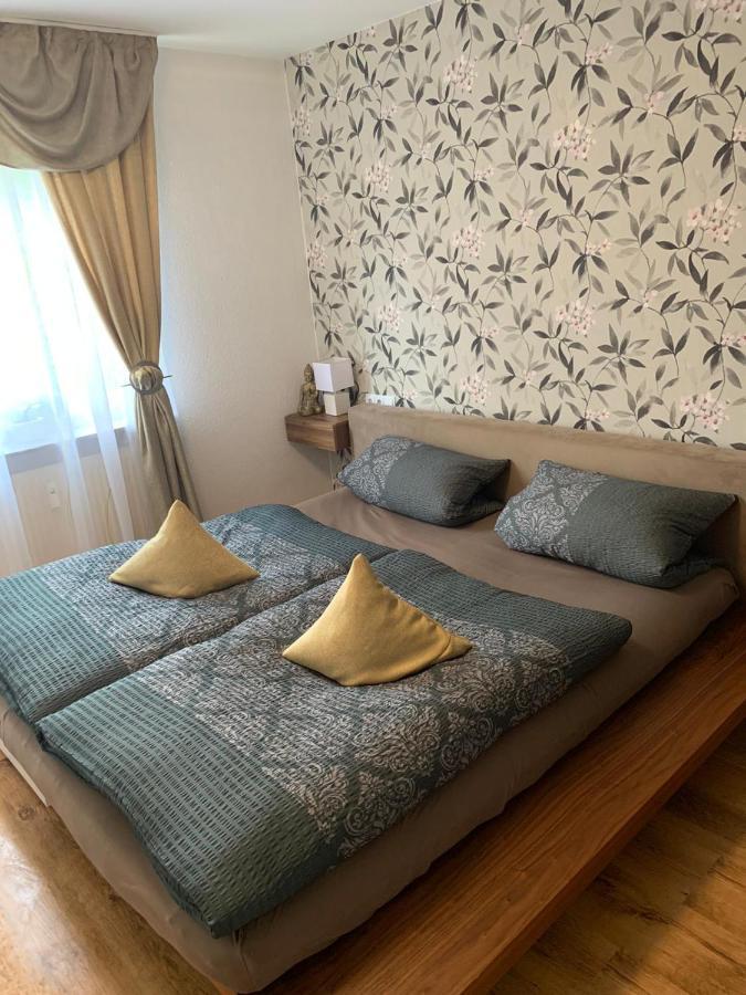 Apartment Saxonia Пирна Экстерьер фото